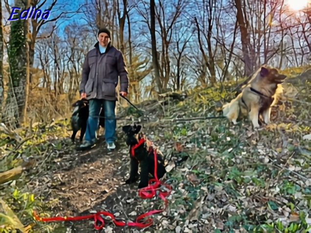 18.3.2025 - Herkules, Howard und Dwix, im Wald unterwegs